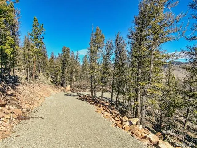 4538 Middle Fork Vista Fairplay, CO 80440
