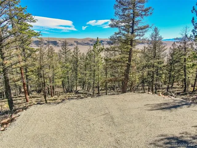 4538 Middle Fork Vista Fairplay, CO 80440