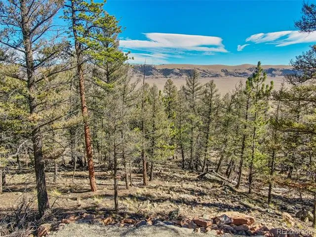 4538 Middle Fork Vista Fairplay, CO 80440