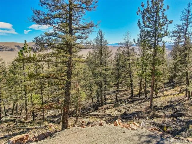 4538 Middle Fork Vista Fairplay, CO 80440