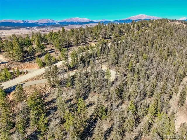 4538 Middle Fork Vista Fairplay, CO 80440