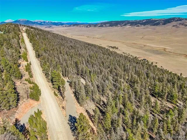 4538 Middle Fork Vista Fairplay, CO 80440