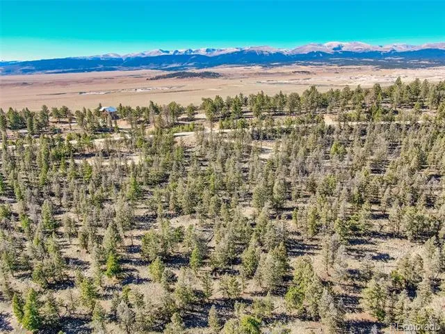 4538 Middle Fork Vista Fairplay, CO 80440