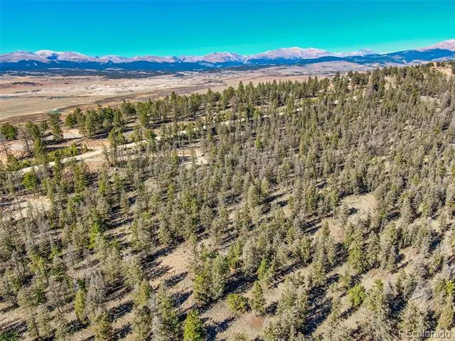 4538 Middle Fork Vista Fairplay, CO 80440