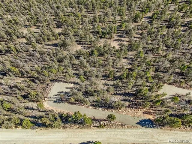 4538 Middle Fork Vista Fairplay, CO 80440