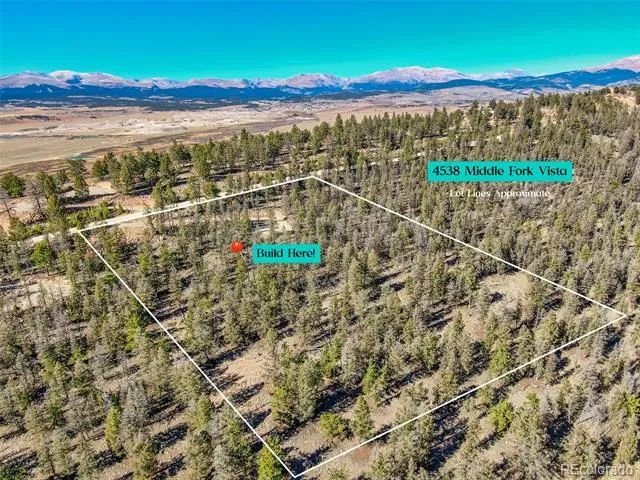 4538 Middle Fork Vista Fairplay, CO 80440