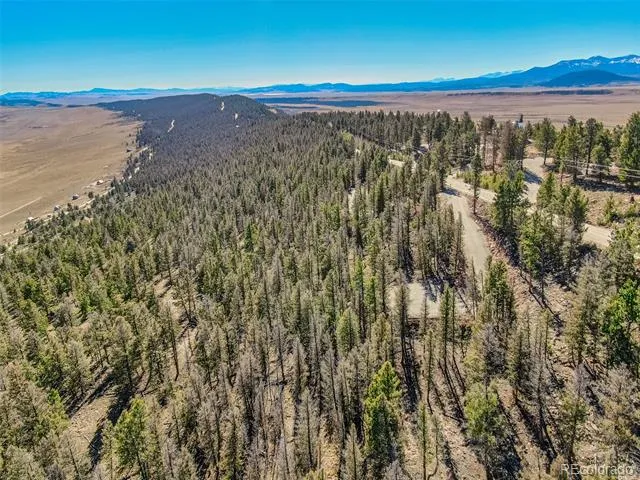 4538 Middle Fork Vista Fairplay, CO 80440