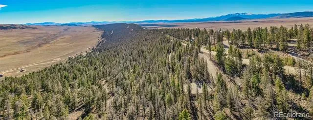4538 Middle Fork Vista Fairplay, CO 80440