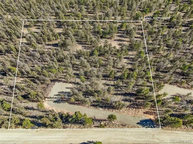4538 Middle Fork Vista Fairplay, CO 80440
