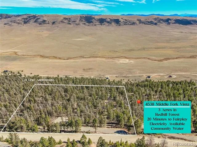 4538 Middle Fork Vista Fairplay, CO 80440