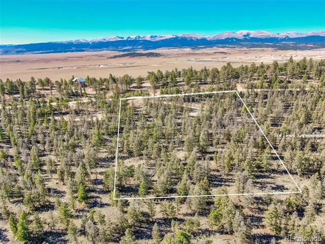4538 Middle Fork Vista Fairplay, CO 80440
