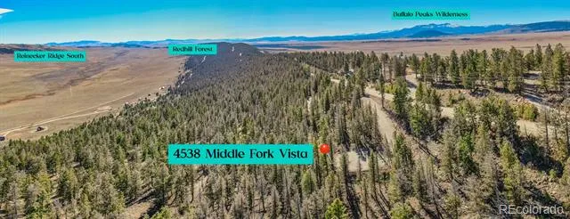 4538 Middle Fork Vista Fairplay, CO 80440