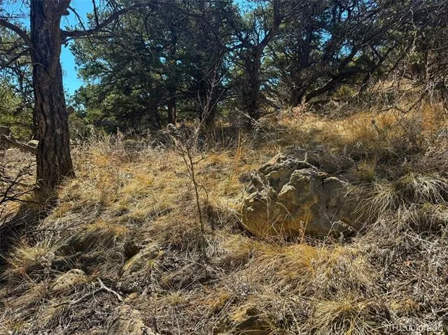 TBD Country Road 572 Gardner, CO 81030