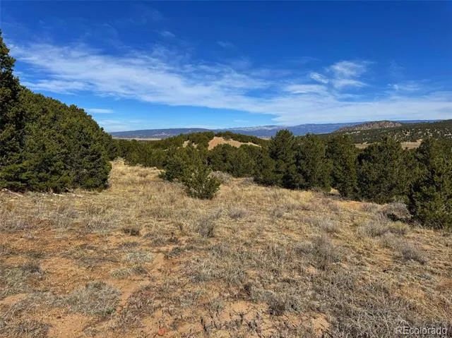 TBD Country Road 572 Gardner, CO 81030