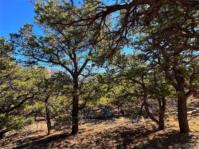 TBD Country Road 572 Gardner, CO 81030