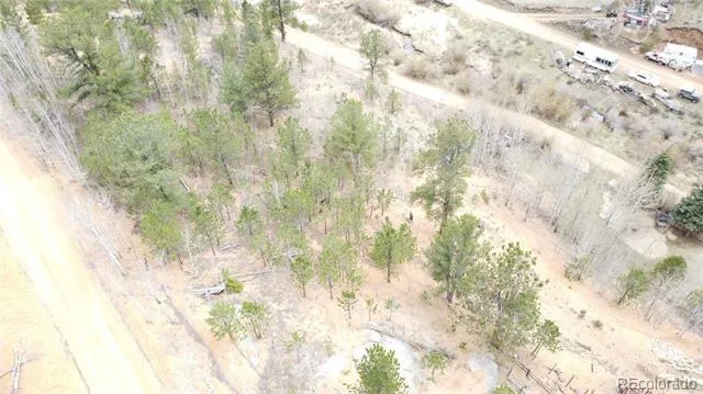 397 Neish Street Bailey, CO 80421