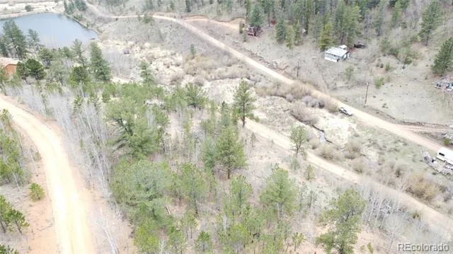 397 Neish Street Bailey, CO 80421