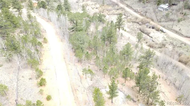 397 Neish Street Bailey, CO 80421