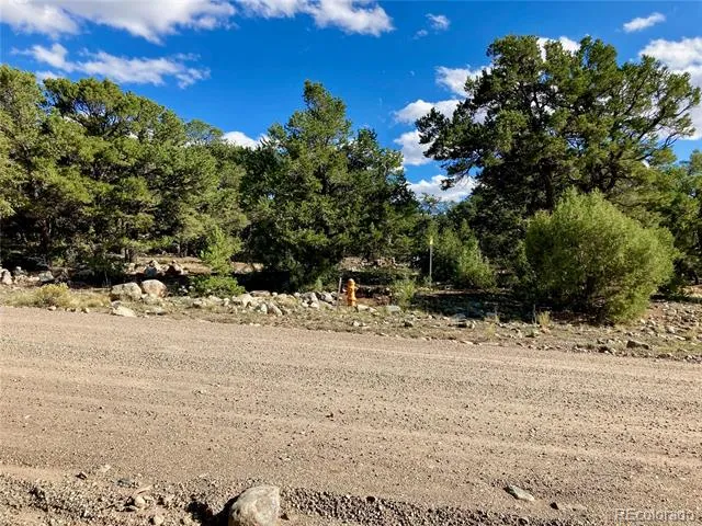 4208 Caprice Way Crestone, CO 81131