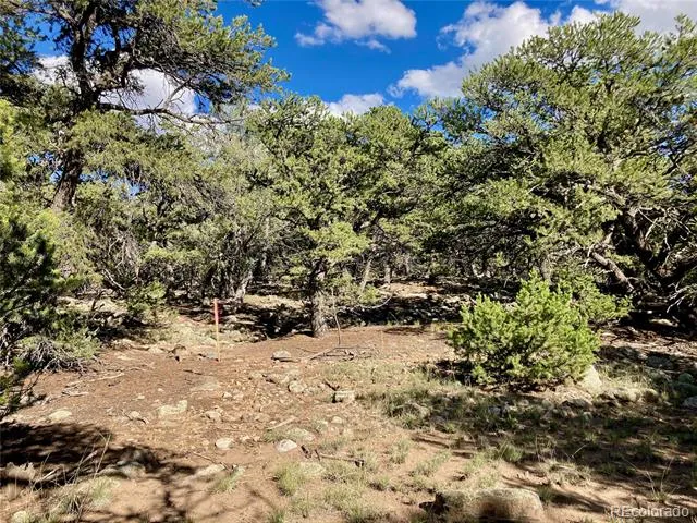4208 Caprice Way Crestone, CO 81131