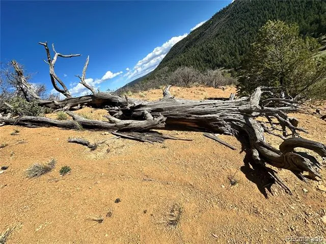 92 Bear Trax Drive Canon City, CO 81212