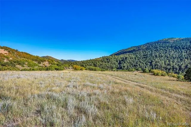 92 Bear Trax Drive Canon City, CO 81212