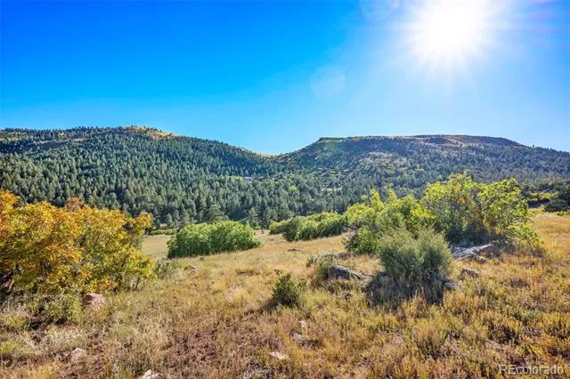 92 Bear Trax Drive Canon City, CO 81212