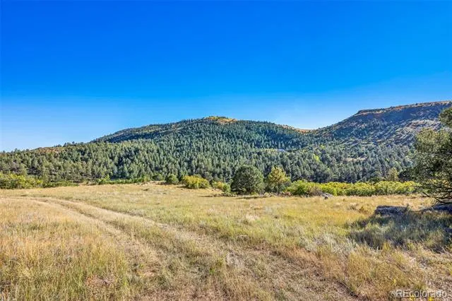 92 Bear Trax Drive Canon City, CO 81212