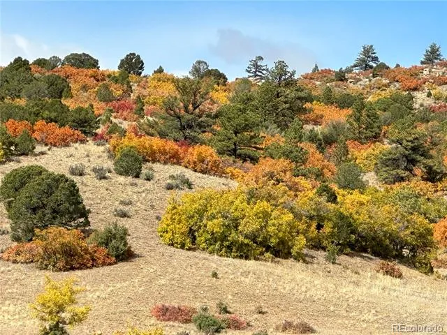 92 Bear Trax Drive Canon City, CO 81212