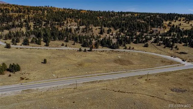 267 Platte River Drive Fairplay, CO 80440