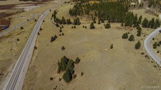 267 Platte River Drive Fairplay, CO 80440