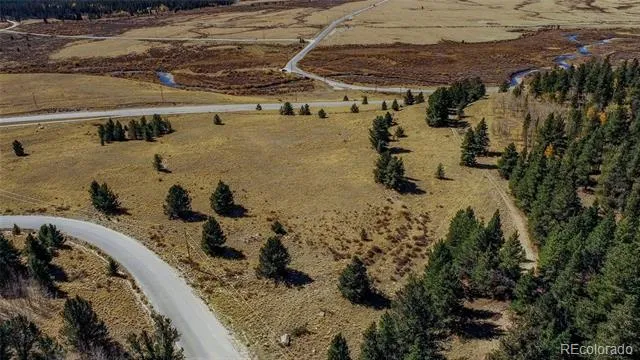 267 Platte River Drive Fairplay, CO 80440