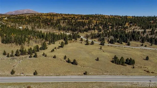 267 Platte River Drive Fairplay, CO 80440