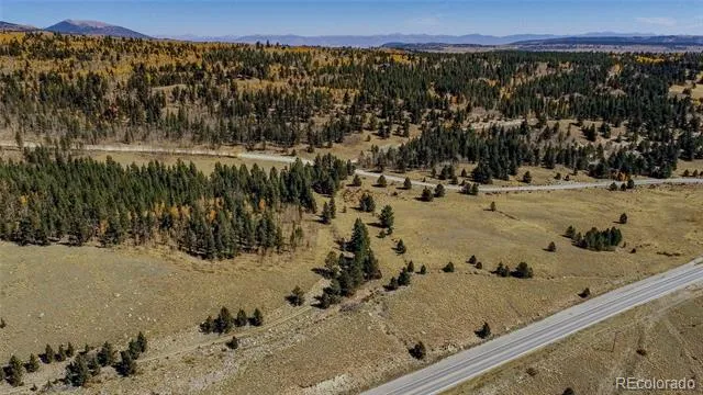 267 Platte River Drive Fairplay, CO 80440