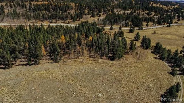 267 Platte River Drive Fairplay, CO 80440