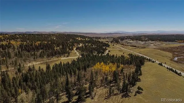 267 Platte River Drive Fairplay, CO 80440