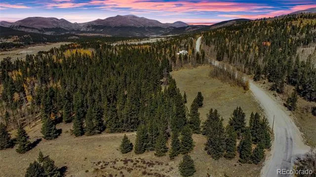 267 Platte River Drive Fairplay, CO 80440
