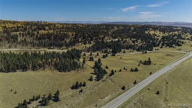267 Platte River Drive Fairplay, CO 80440