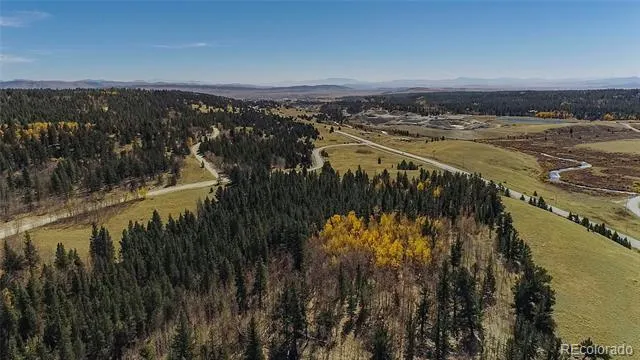 267 Platte River Drive Fairplay, CO 80440