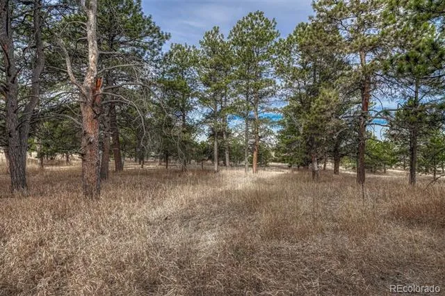 16511 Early Light Drive Colorado Springs, CO 80908