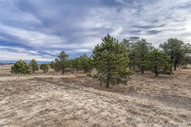 16511 Early Light Drive Colorado Springs, CO 80908