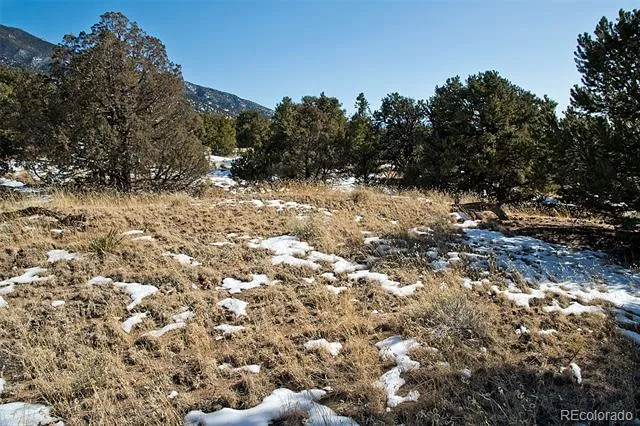 Naropa Tract Crestone, CO 81131