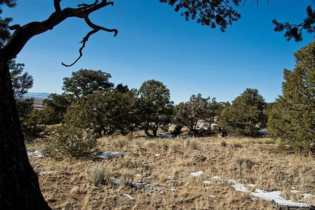 Naropa Tract Crestone, CO 81131