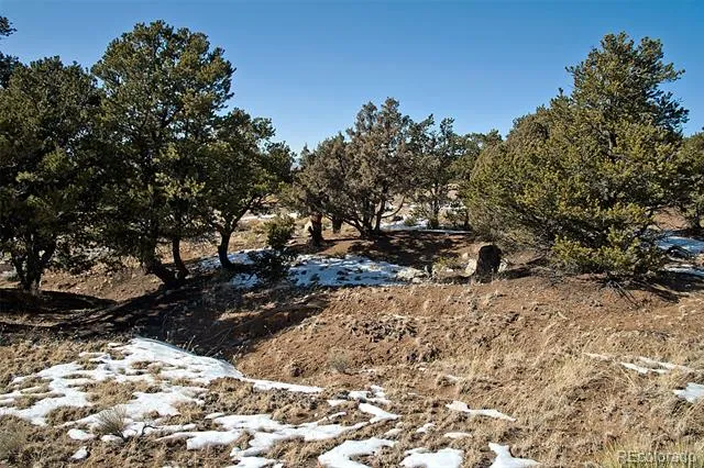 Naropa Tract Crestone, CO 81131