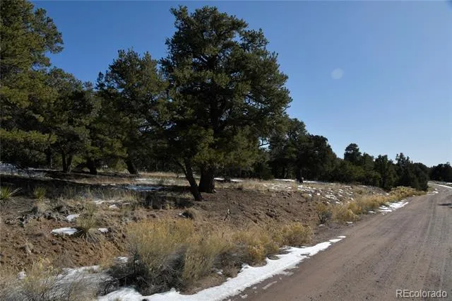 Naropa Tract Crestone, CO 81131