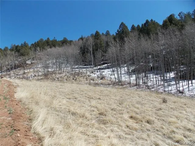 388 Grey Eagle Drive Cripple Creek, CO 80813