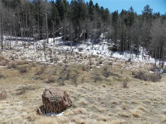 388 Grey Eagle Drive Cripple Creek, CO 80813