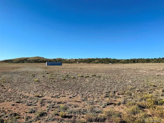 2864 Summit Road Hartsel, CO 80449