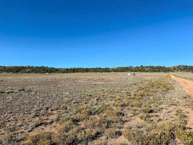 2864 Summit Road Hartsel, CO 80449