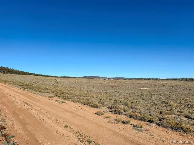 2864 Summit Road Hartsel, CO 80449